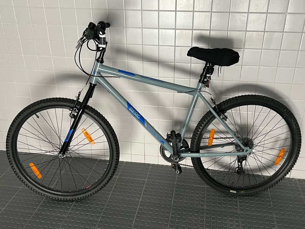 Bicycle Adult (Berg)