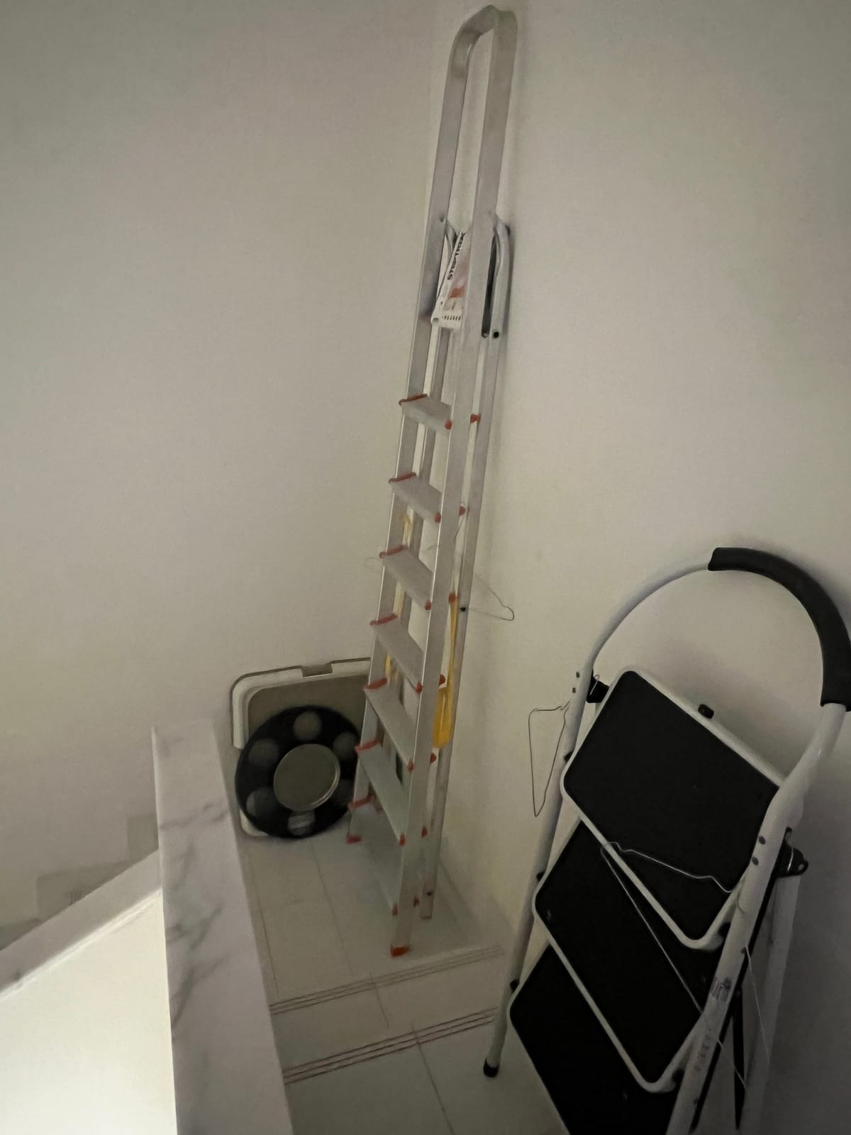 Large metal ladder & smaller ladder